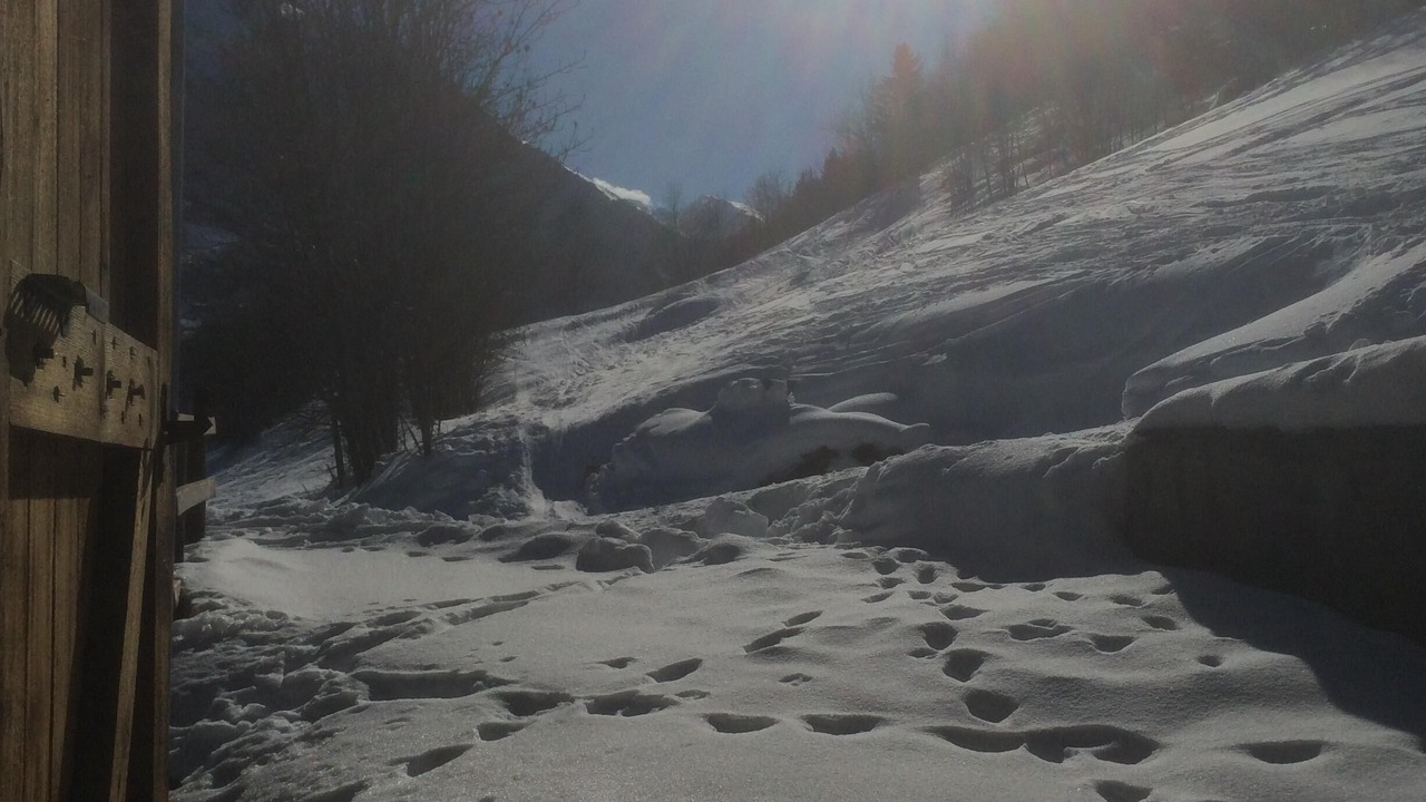 Photo of Outdoor in Villaroger