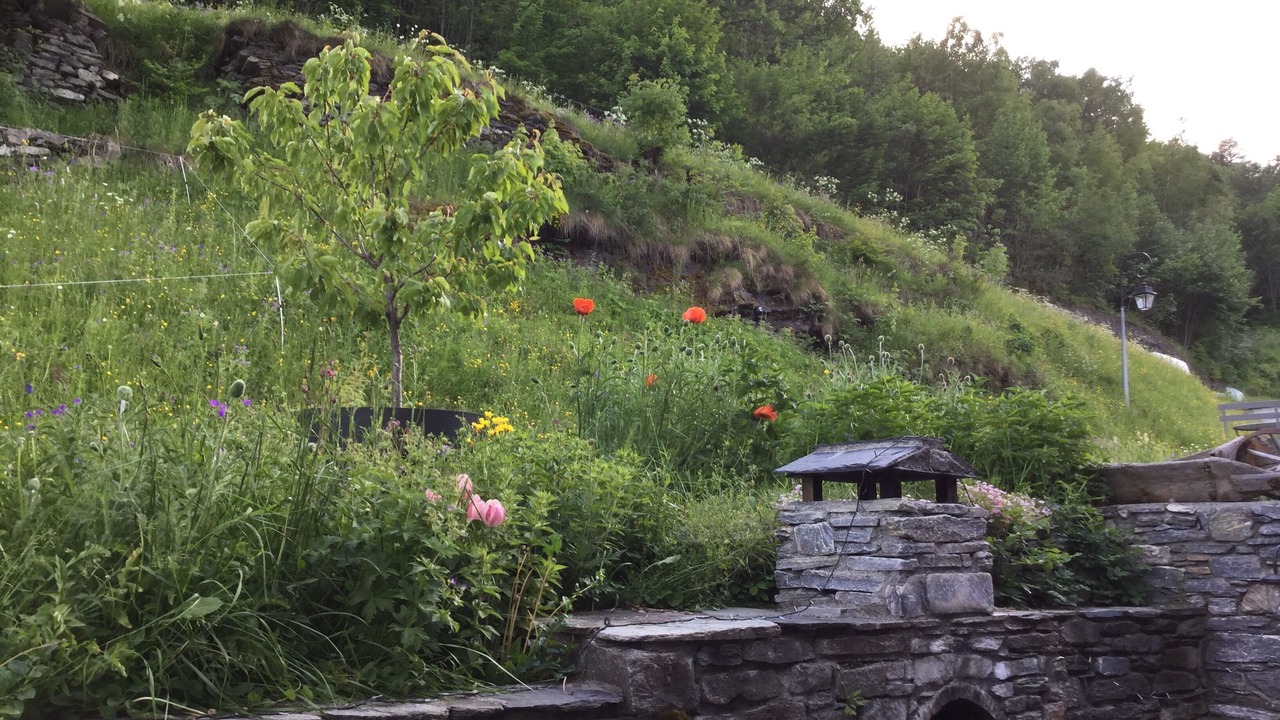 Photo of Outdoor in Villaroger