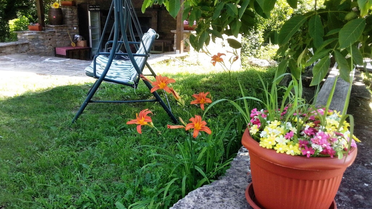 Photo of Outdoor in Kostenkovtsi