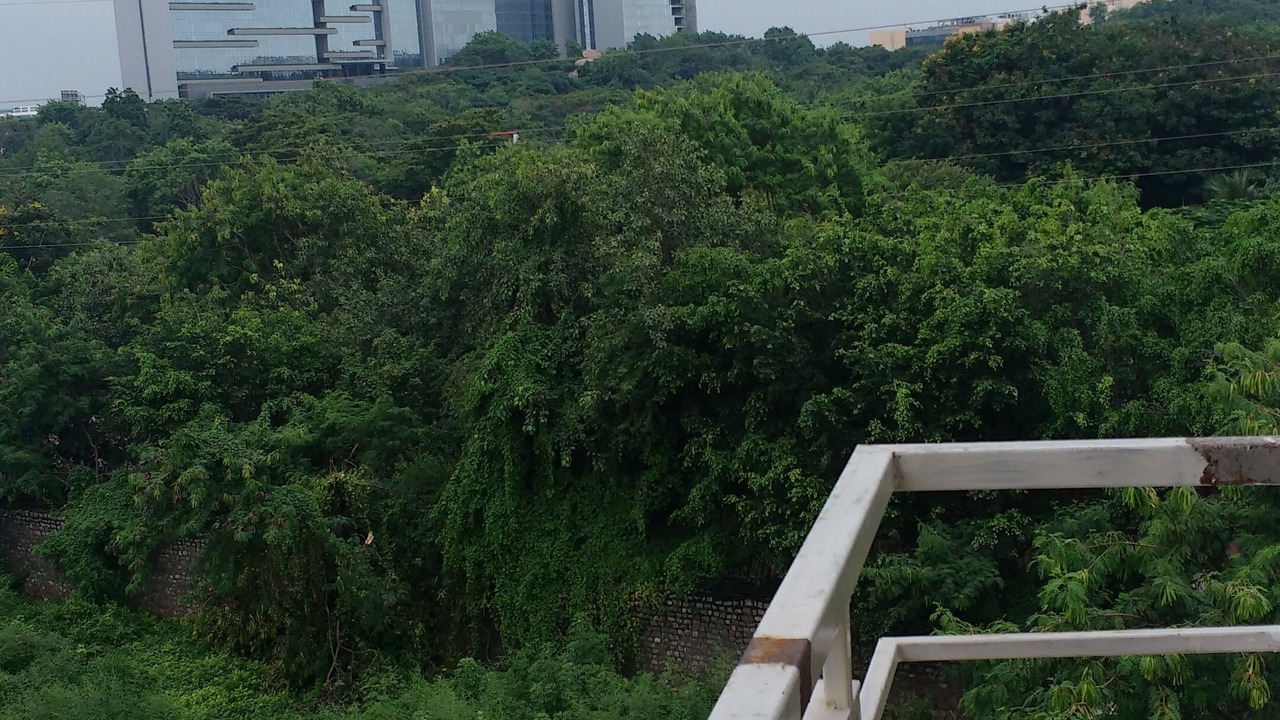 Photo of Outdoor in HITEC City