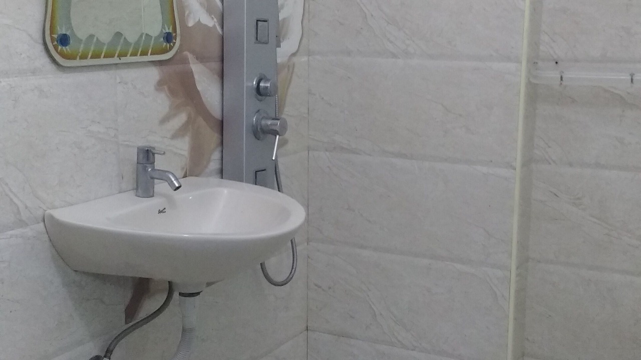 Photo of Bathroom in HITEC City
