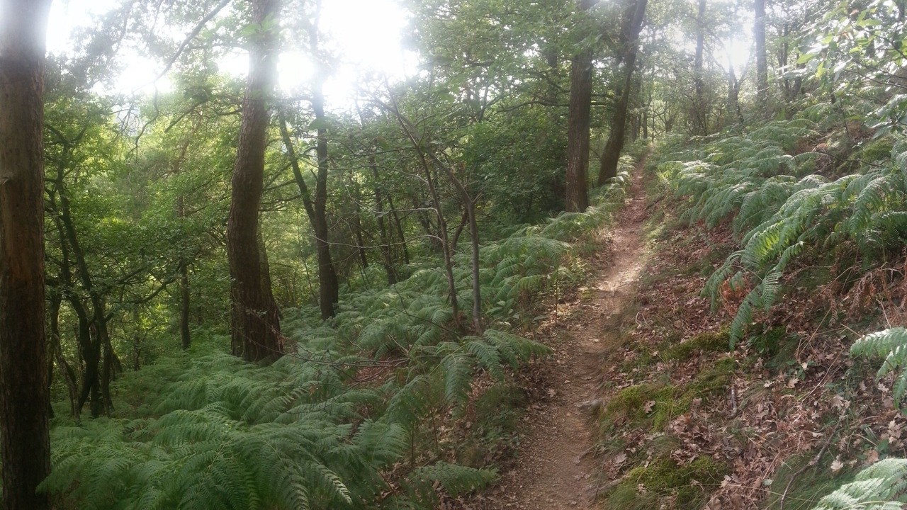 Photo of Outdoor in Tournon-sur-Rhone