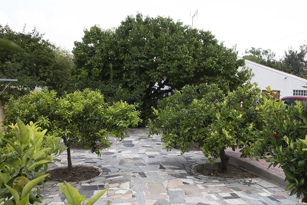 Photo of Outdoor in Mutxamel