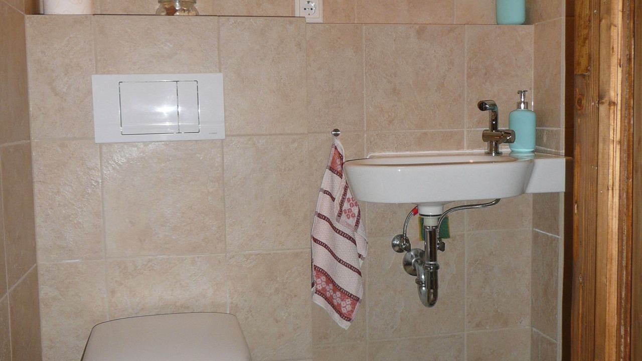 Photo of Bathroom in Loebtau
