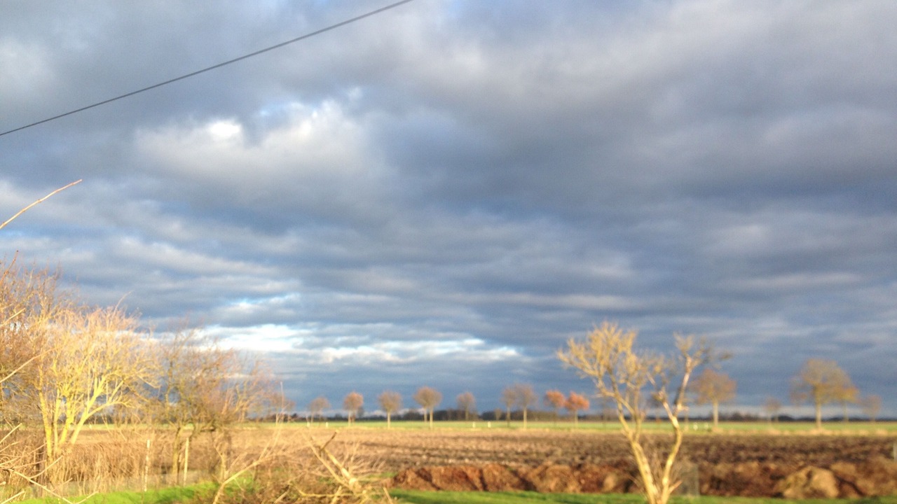 Photo of Outdoor in Gusow
