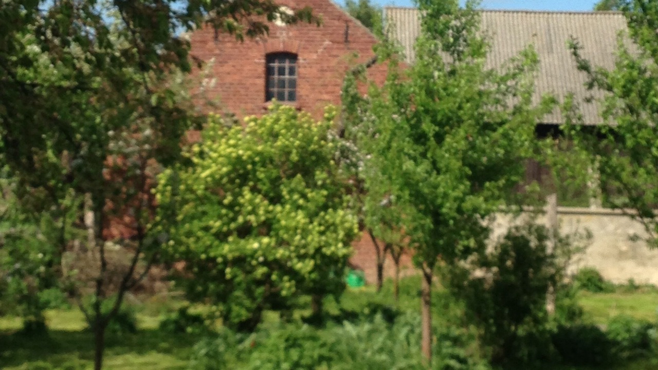 Photo of Outdoor in Gusow