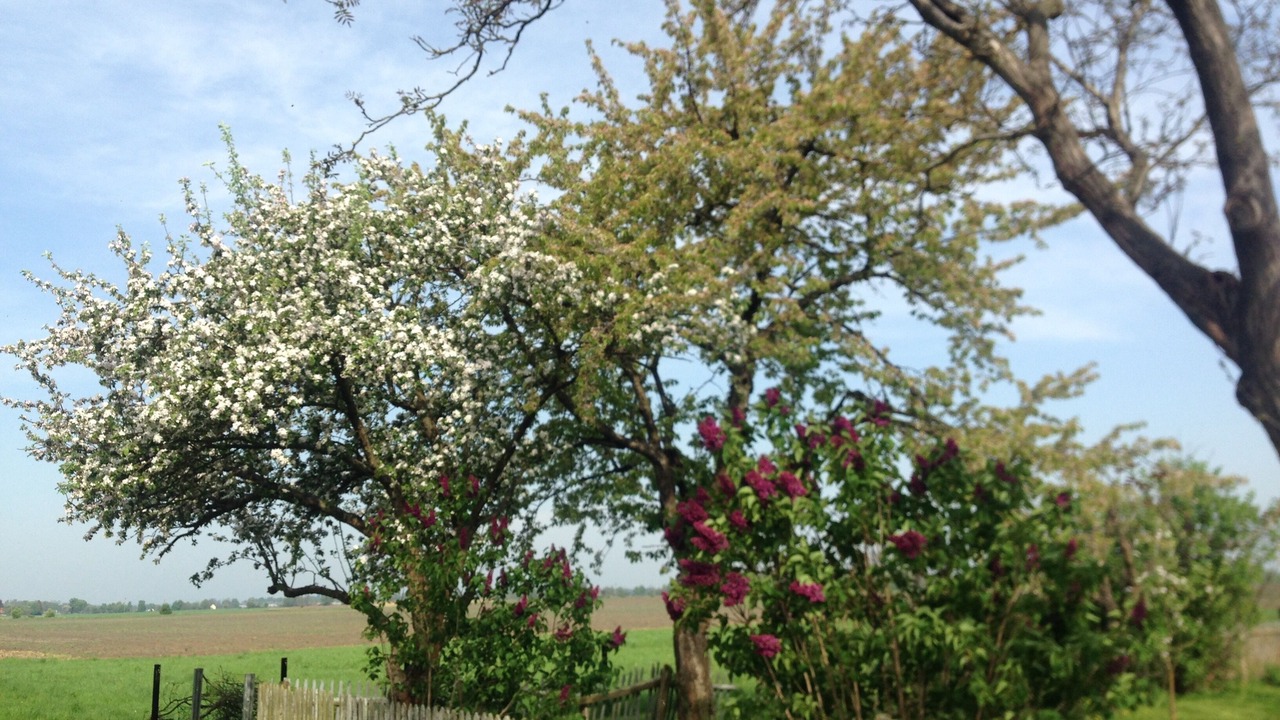 Photo of Outdoor in Gusow