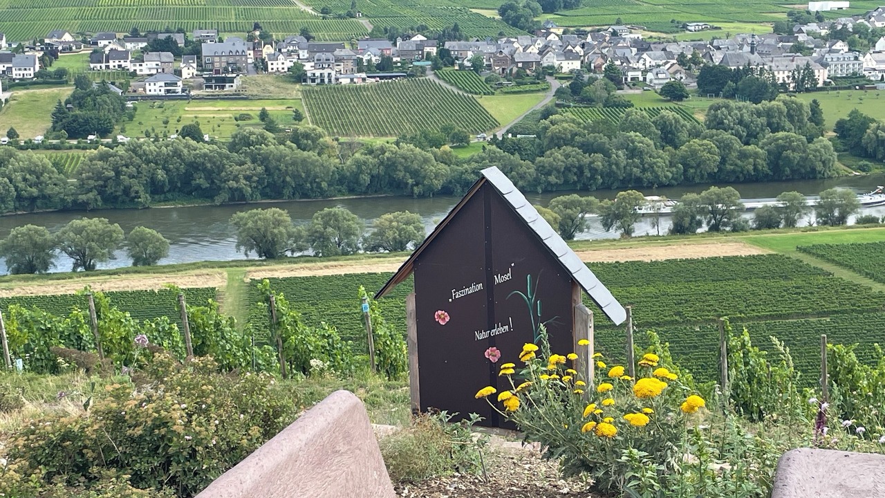 Photo of Others in Altrich