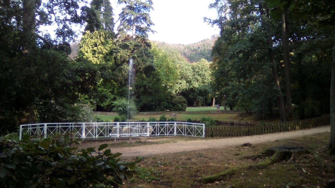 Photo of Outdoor in Bad Harzburg