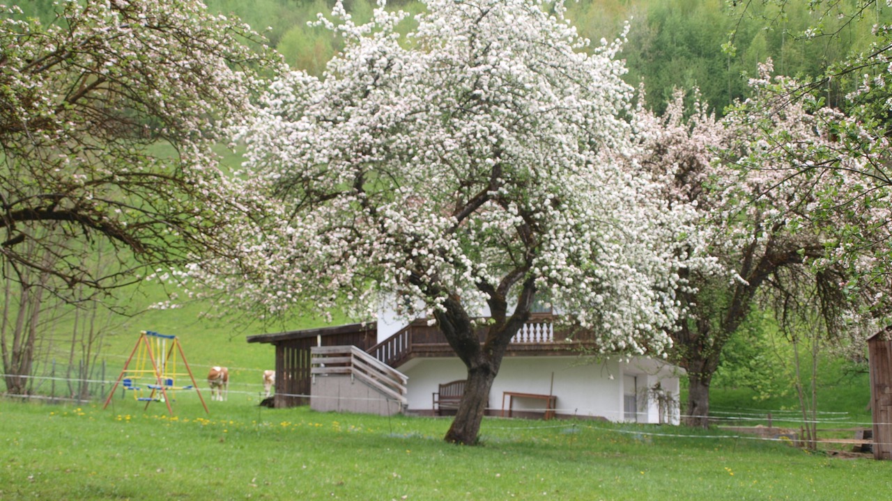 Photo of Outdoor in Helfenstein