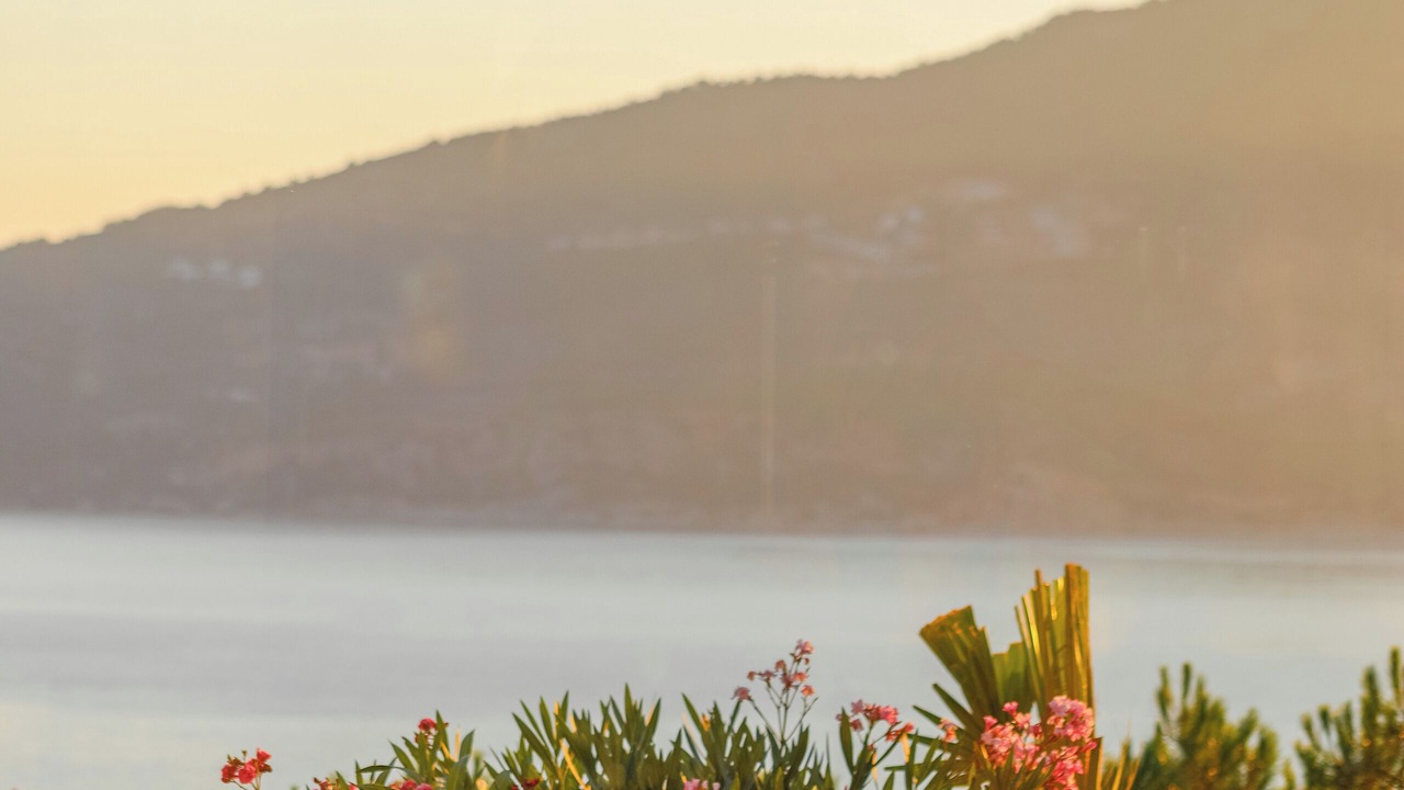 Photo of Outdoor in Kalkan