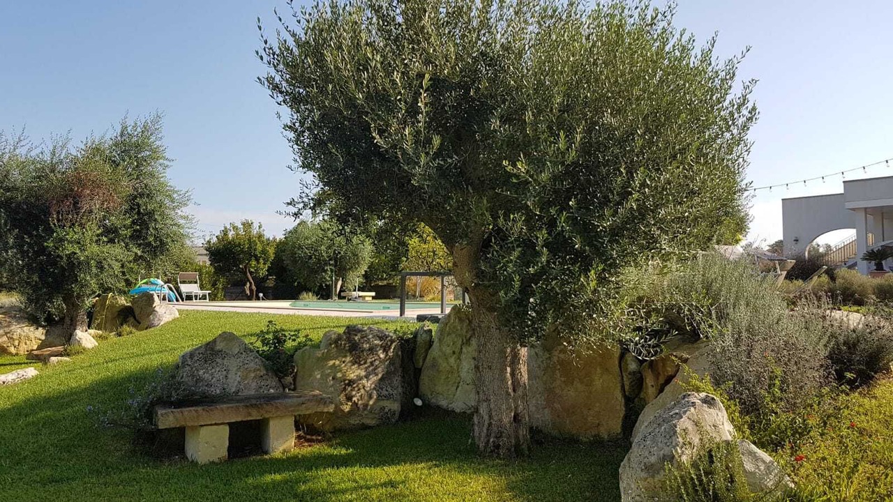 Photo of Outdoor in Sanarica