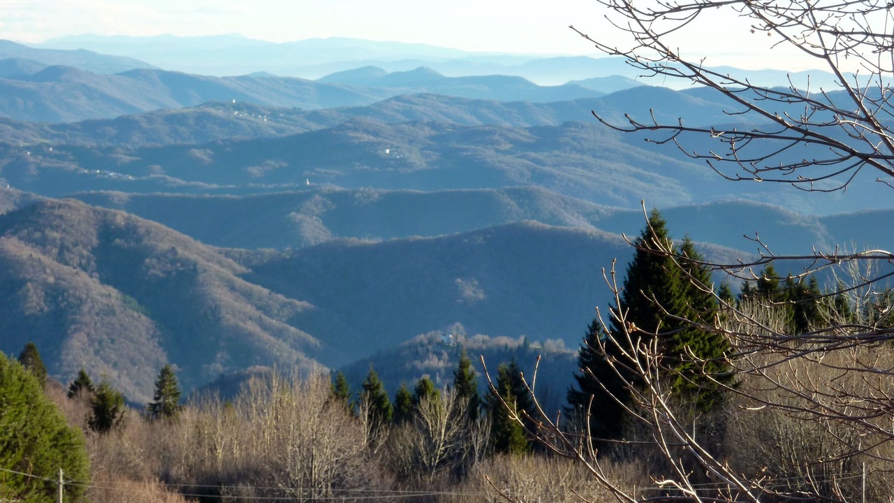 Photo of Outdoor in Moimacco