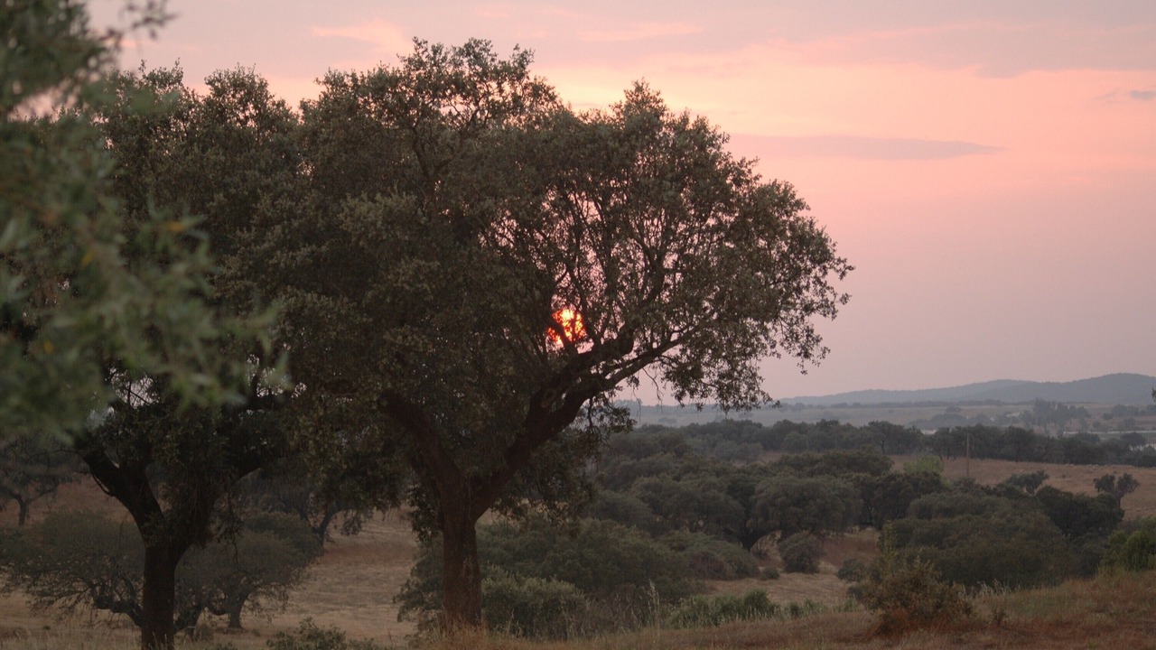 Photo of Others in Santiago do Escoural