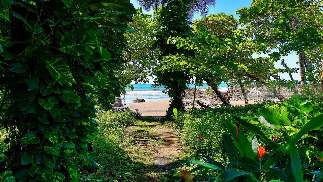 Photo of Others in Dominical