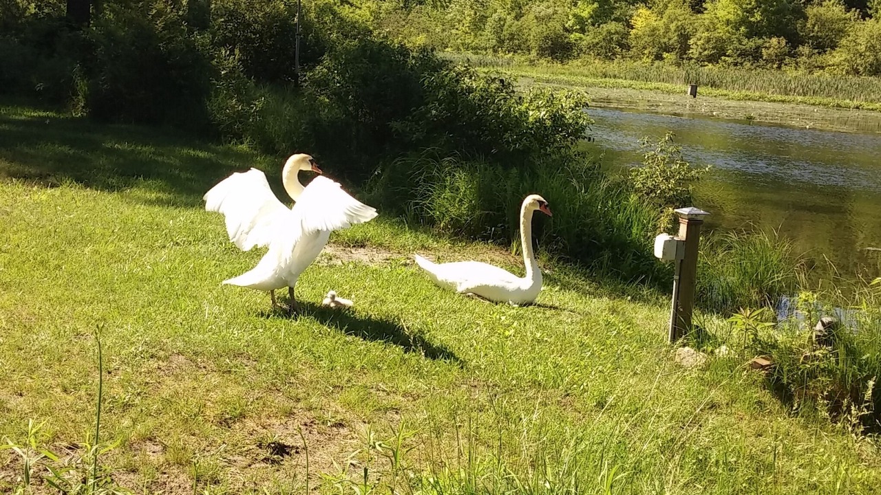Photo of Others in Newaygo