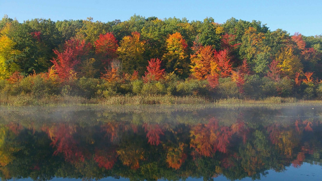 Photo of Others in Newaygo