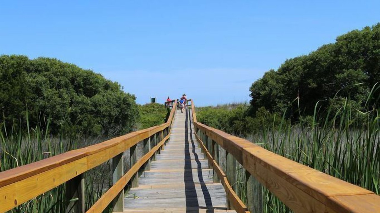 Photo of Outdoor in Folly Field