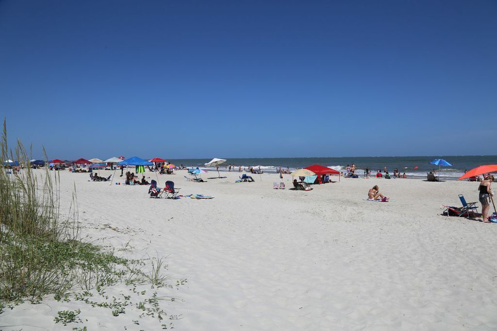 Photo of Others in Folly Field