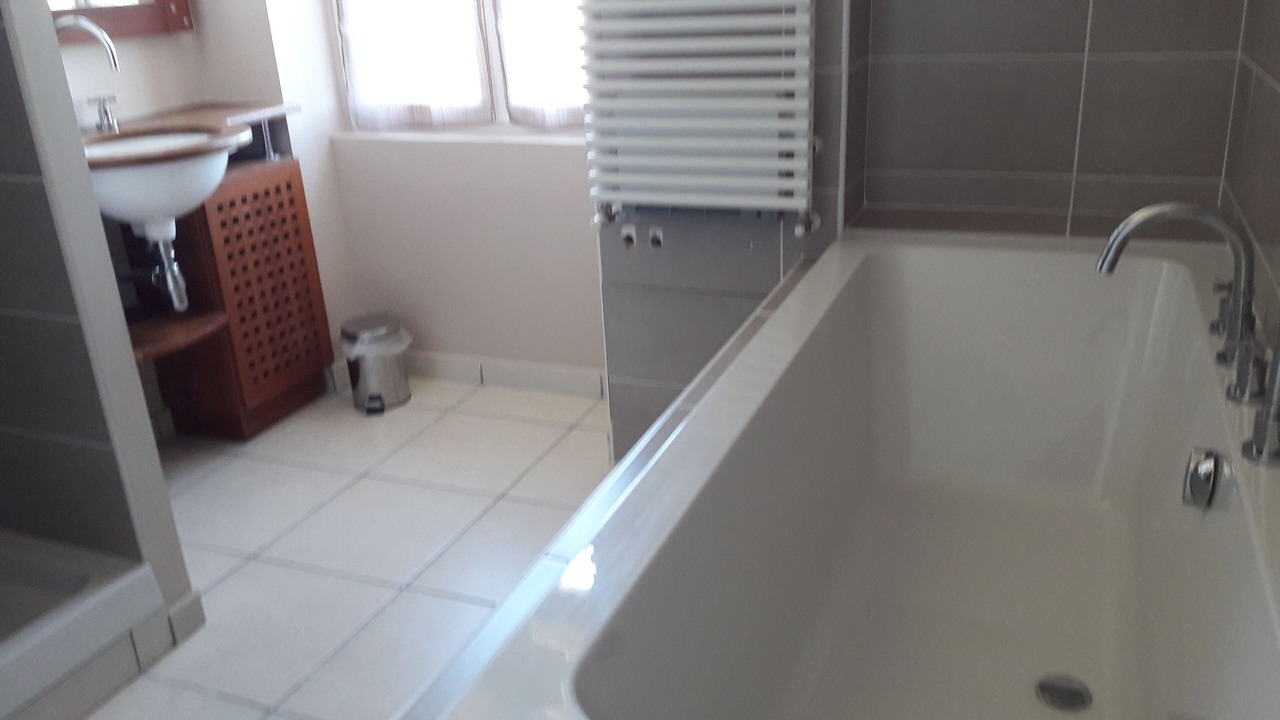 Photo of Bathroom in Saint-Felicien