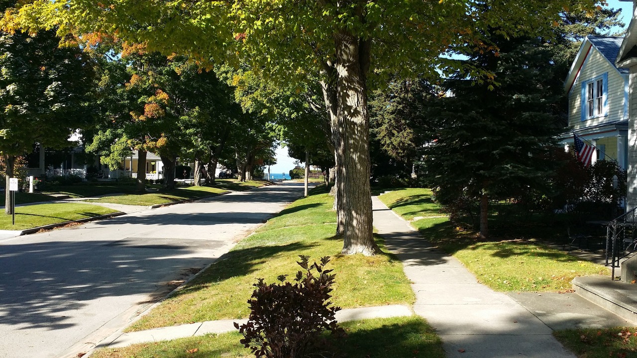 Photo of Others in Frankfort
