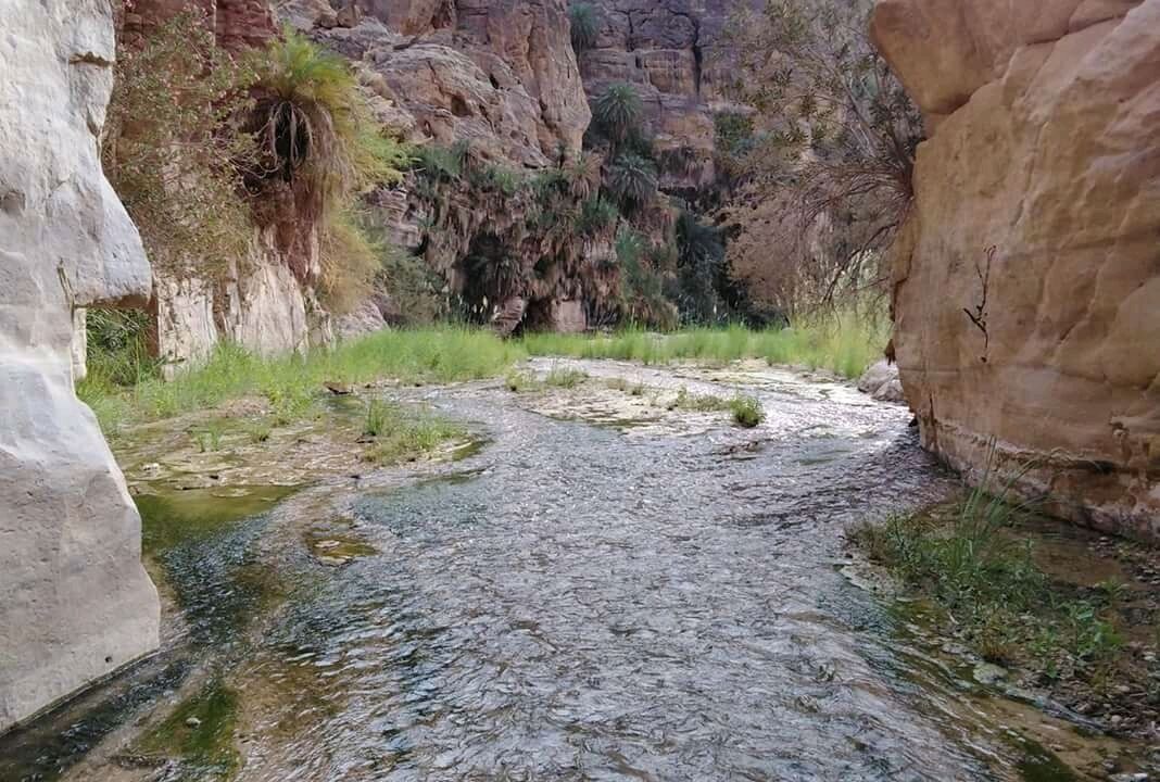 Photo of Others in Al-Mughayer