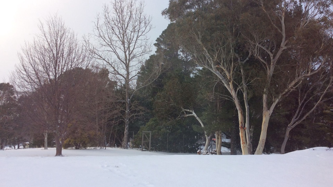 Photo of Others in Old Adaminaby