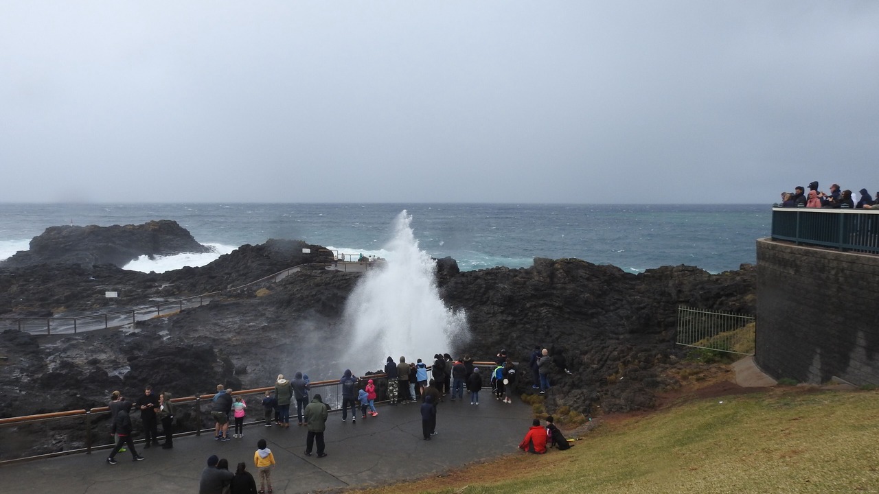 Photo of Others in Kiama Downs