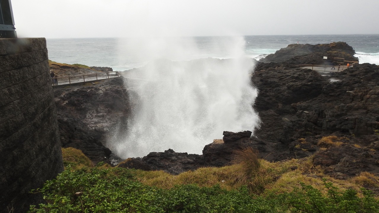 Photo of Others in Kiama Downs