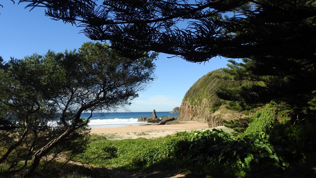 Photo of Others in Kiama Downs