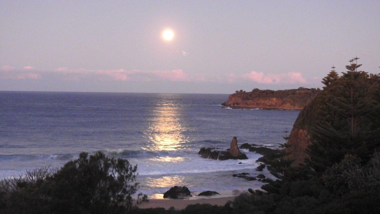 Photo of Others in Kiama Downs