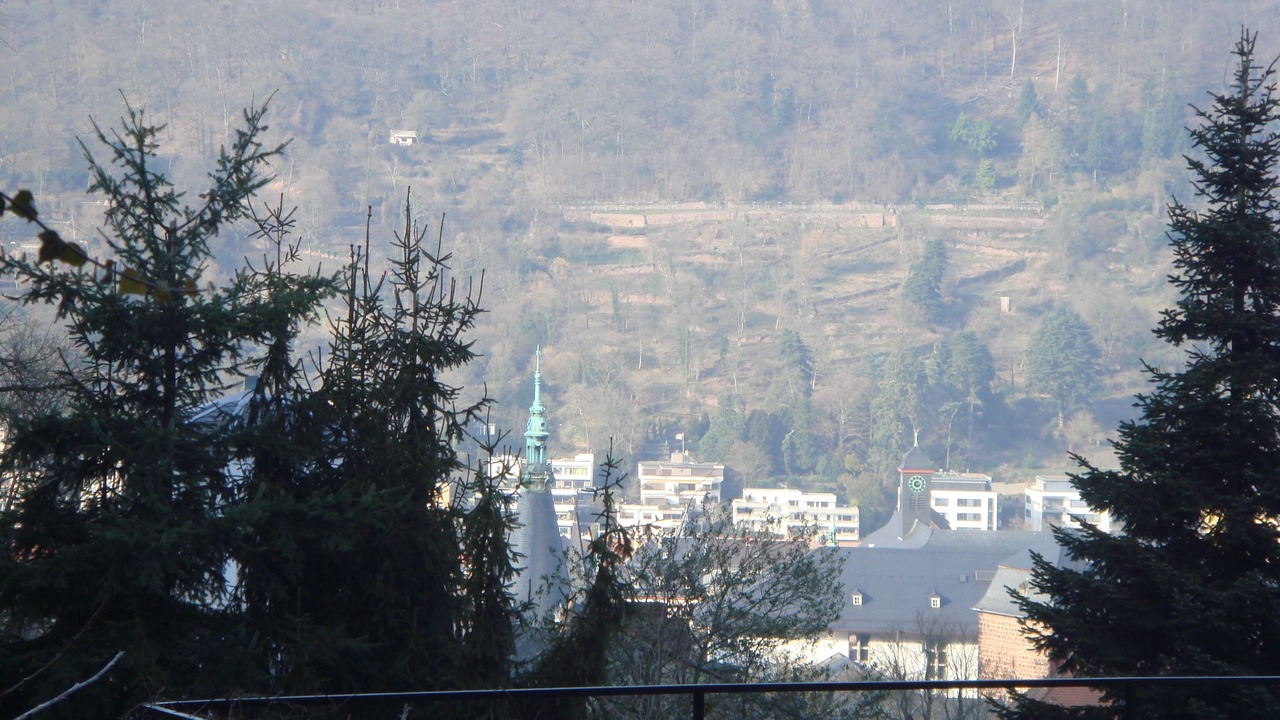 Photo of Others in Heidelberg