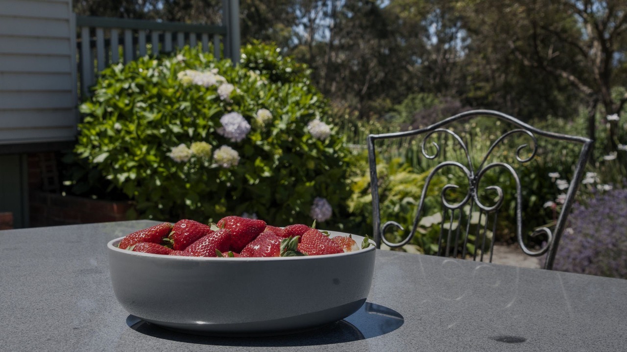 Photo of Outdoor in Wandin North