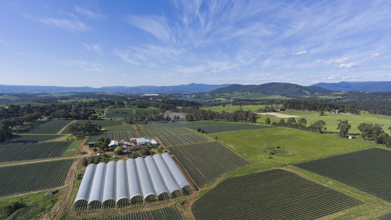 Photo of Outdoor in Wandin North