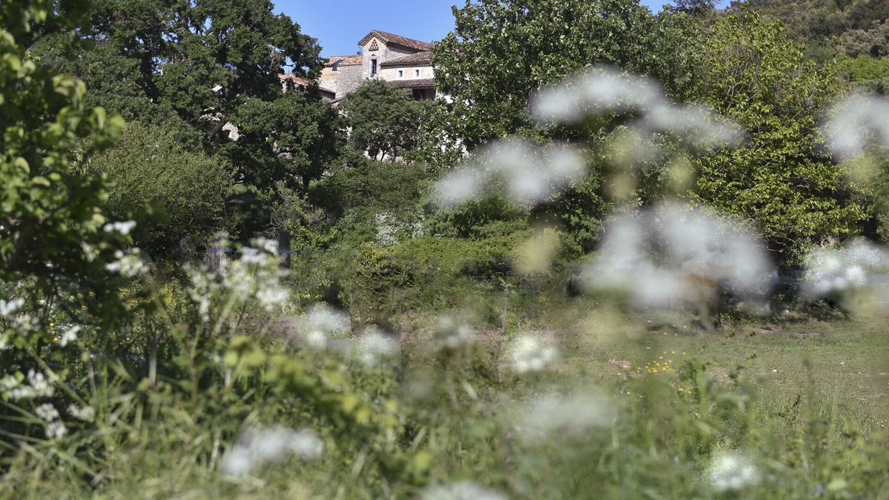 Photo of Outdoor in Barjac
