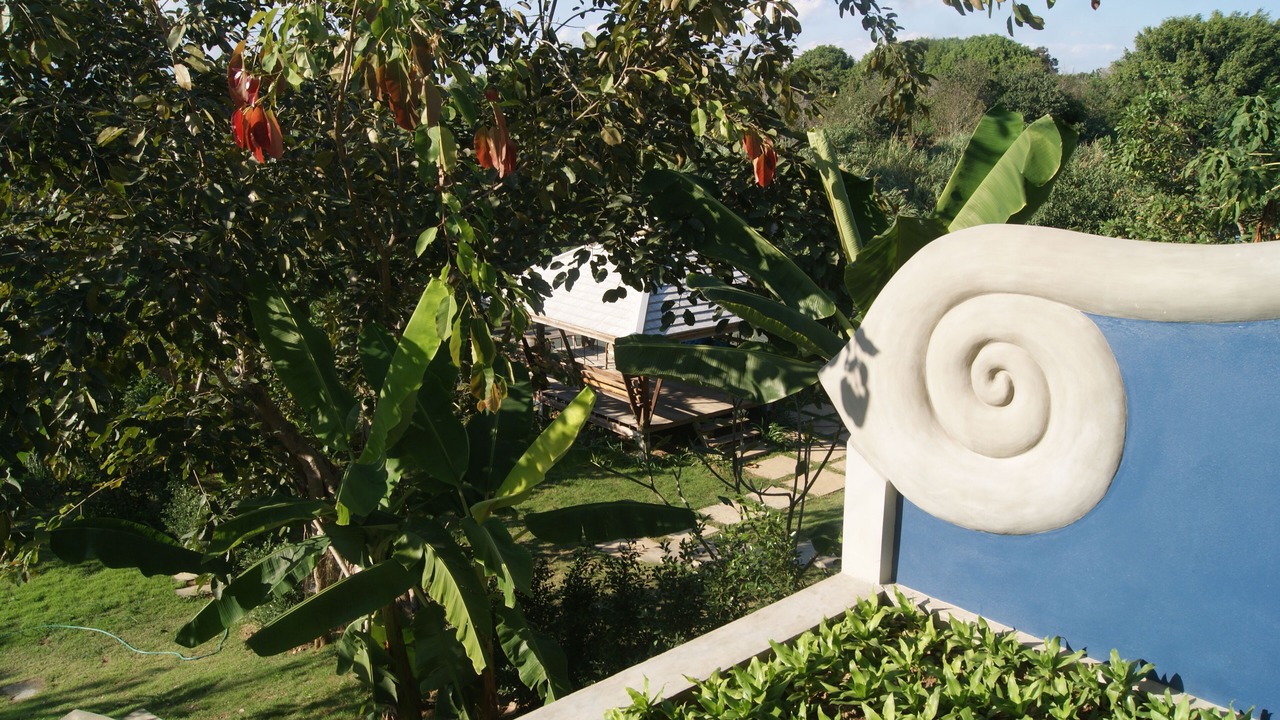 Photo of Outdoor in San Sai