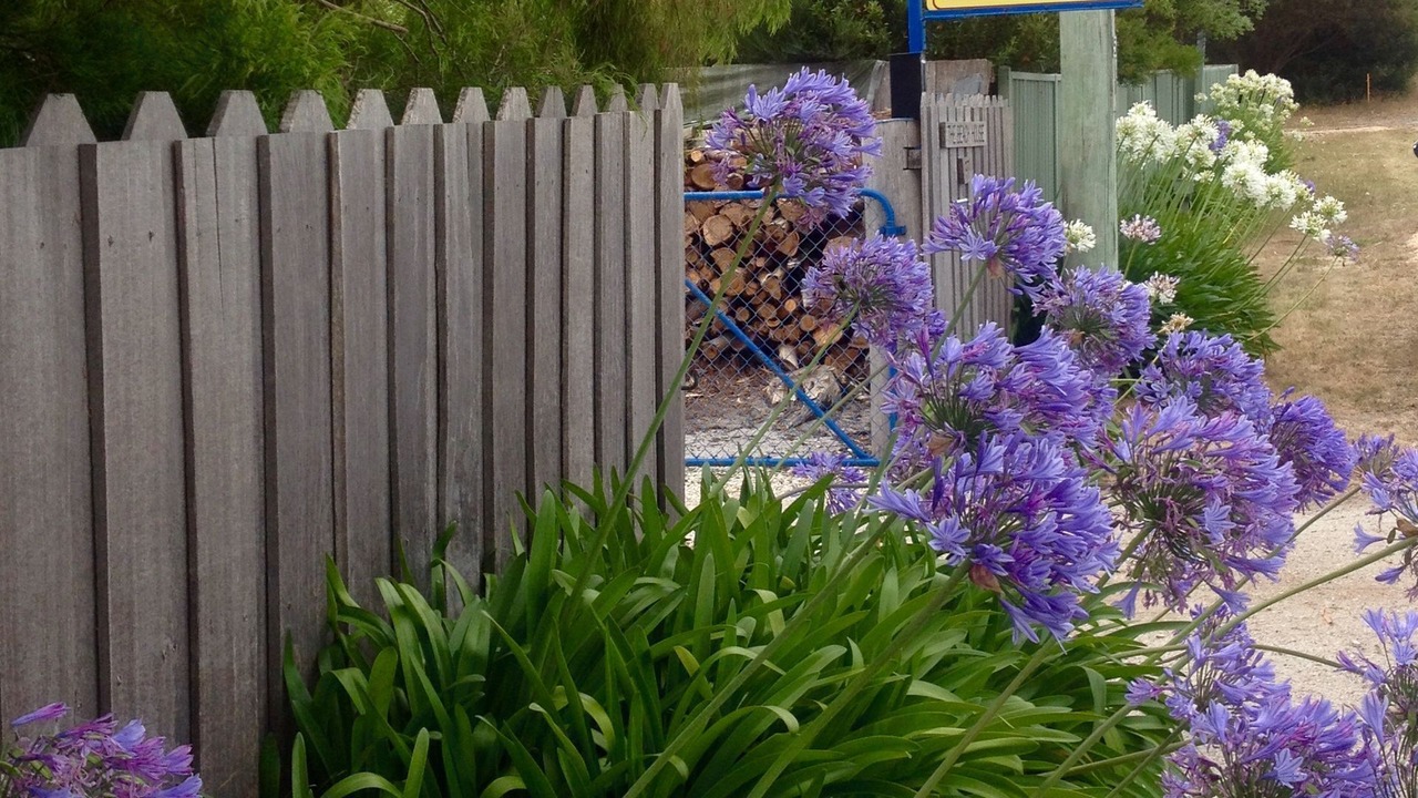Photo of Outdoor in Stieglitz