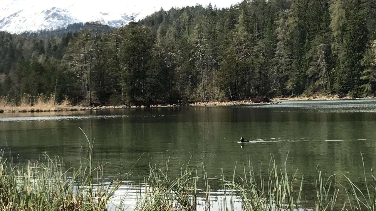 Photo of Outdoor in Biberwier