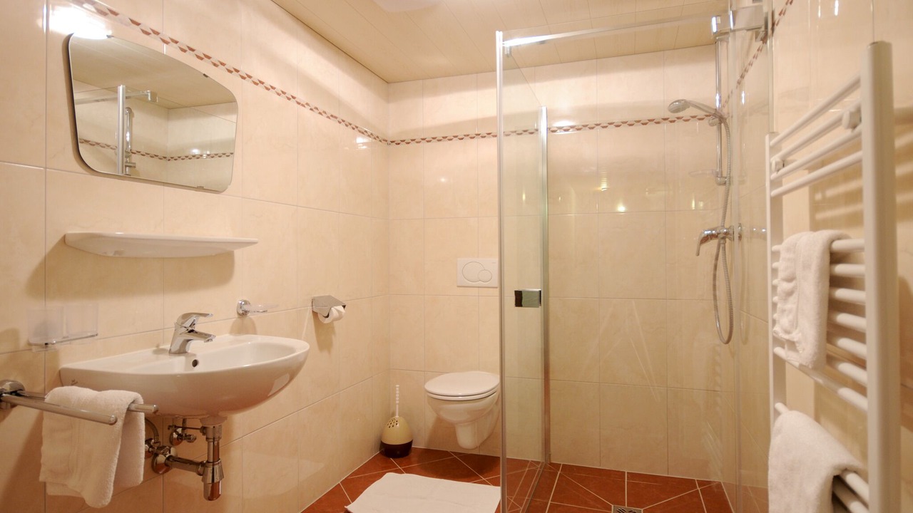 Photo of Bathroom in Vorderlanersbach