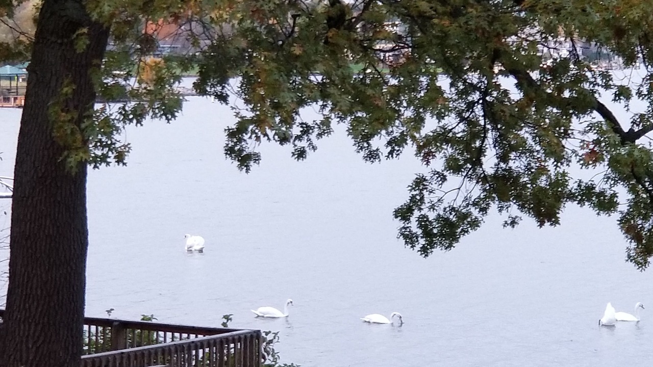 Photo of Others in Spring Lake