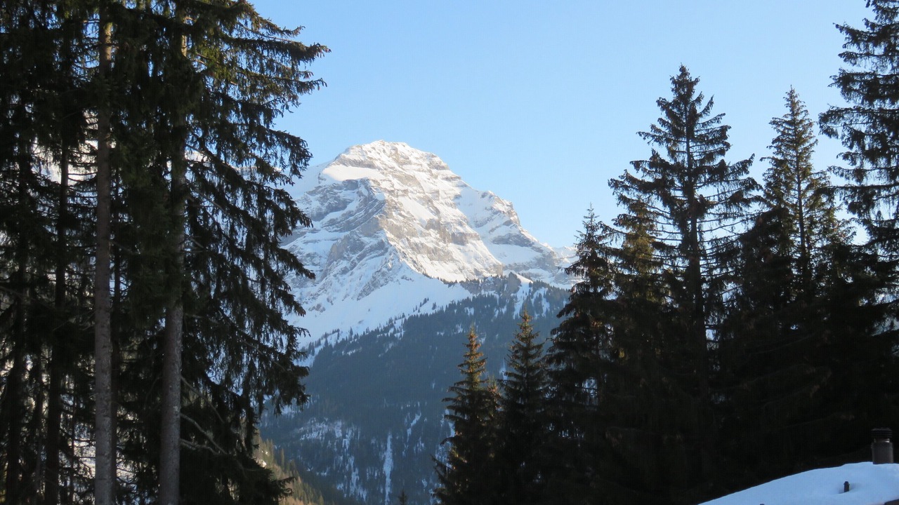 Photo of Others in Ormont-Dessus