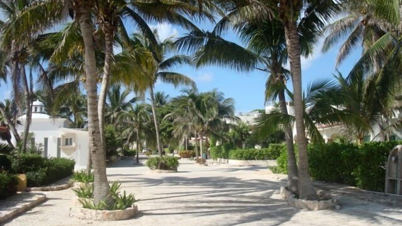 Photo of Others in Playacar Fase I