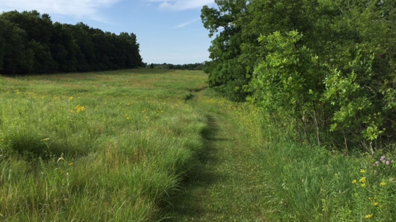 Photo of Outdoor in Peterson