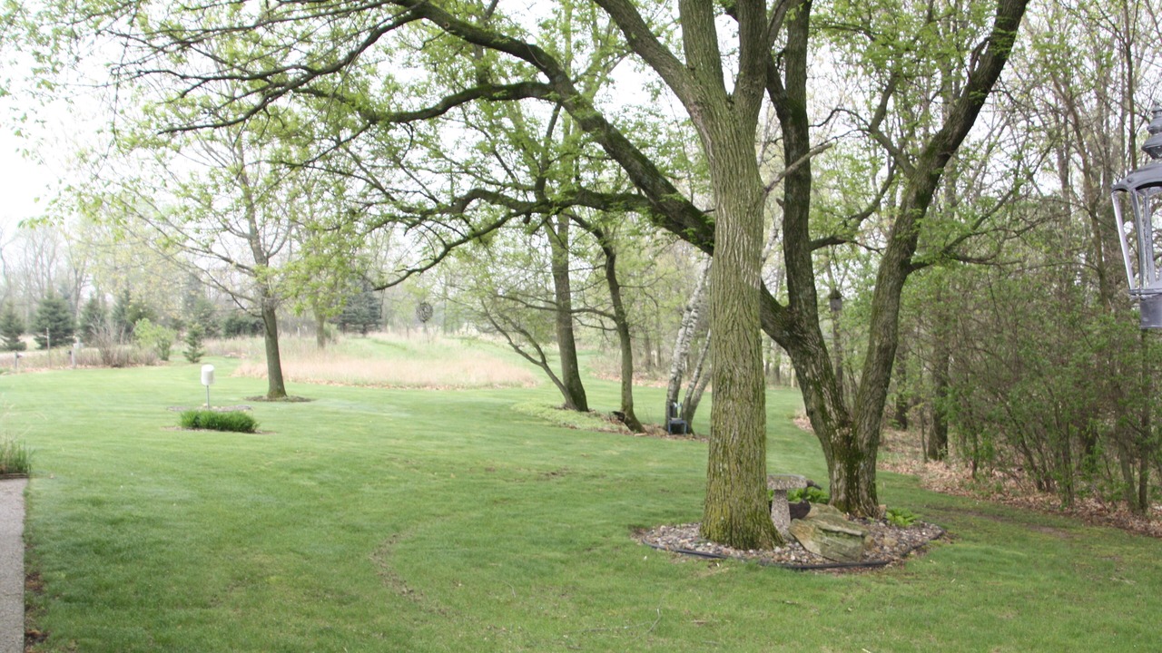 Photo of Others in Peterson