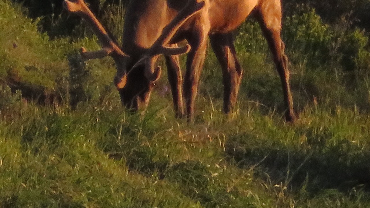 Photo of Outdoor in Parshall