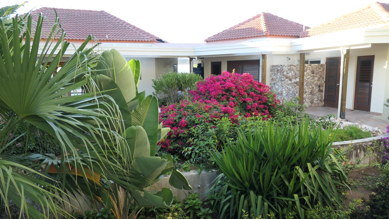 Photo of Outdoor in Spanish Town