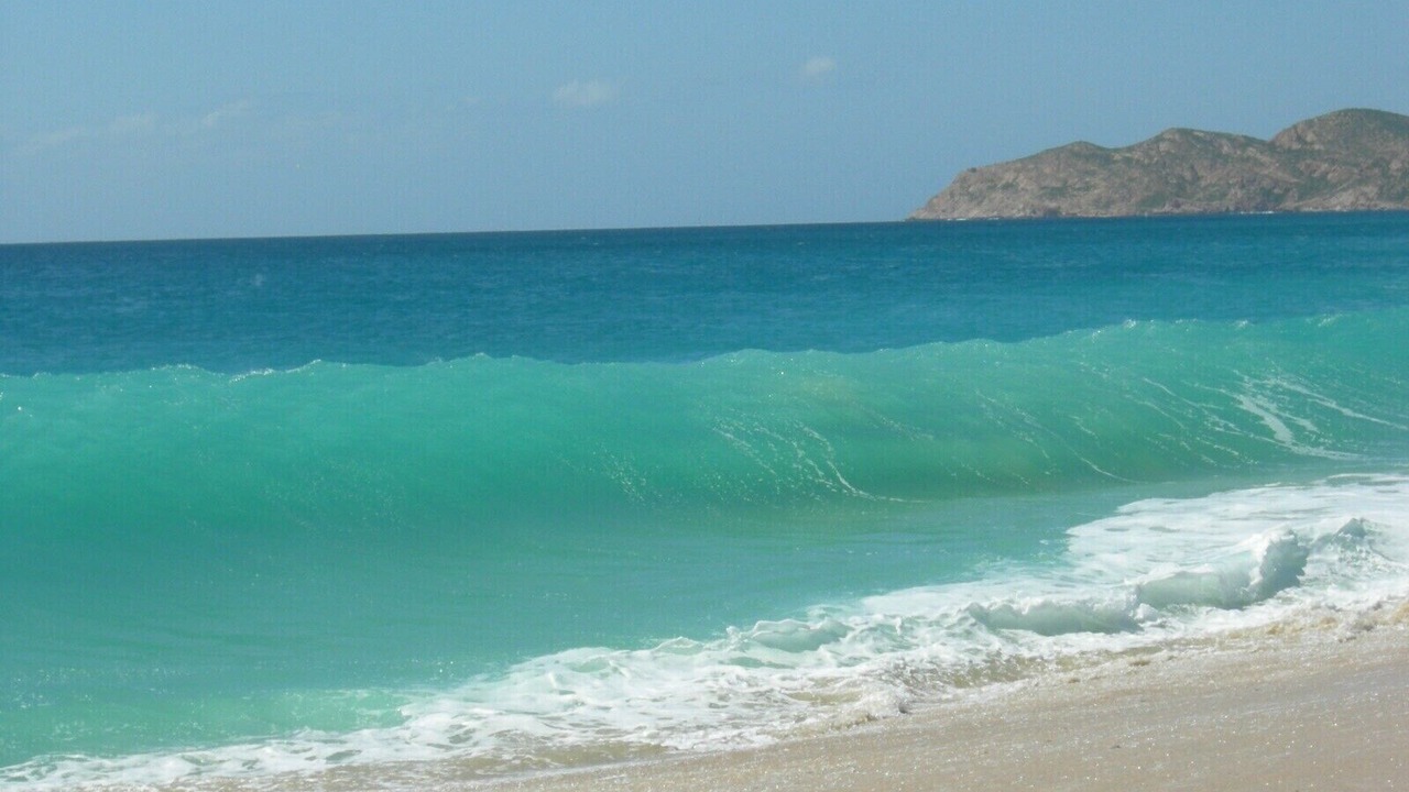 Photo of Others in San Jose del Cabo