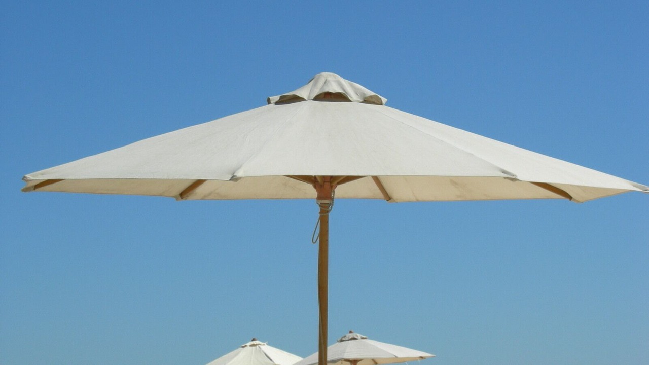 Photo of Others in San Jose del Cabo