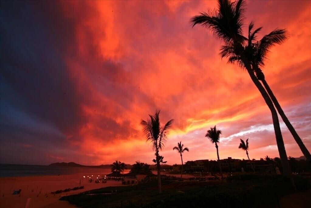 Photo of Others in San Jose del Cabo