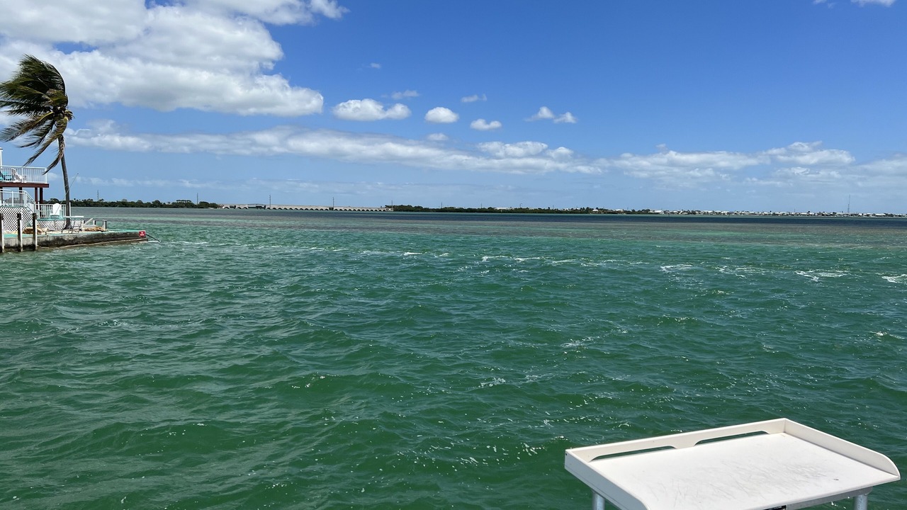 Photo of Others in Cudjoe Key